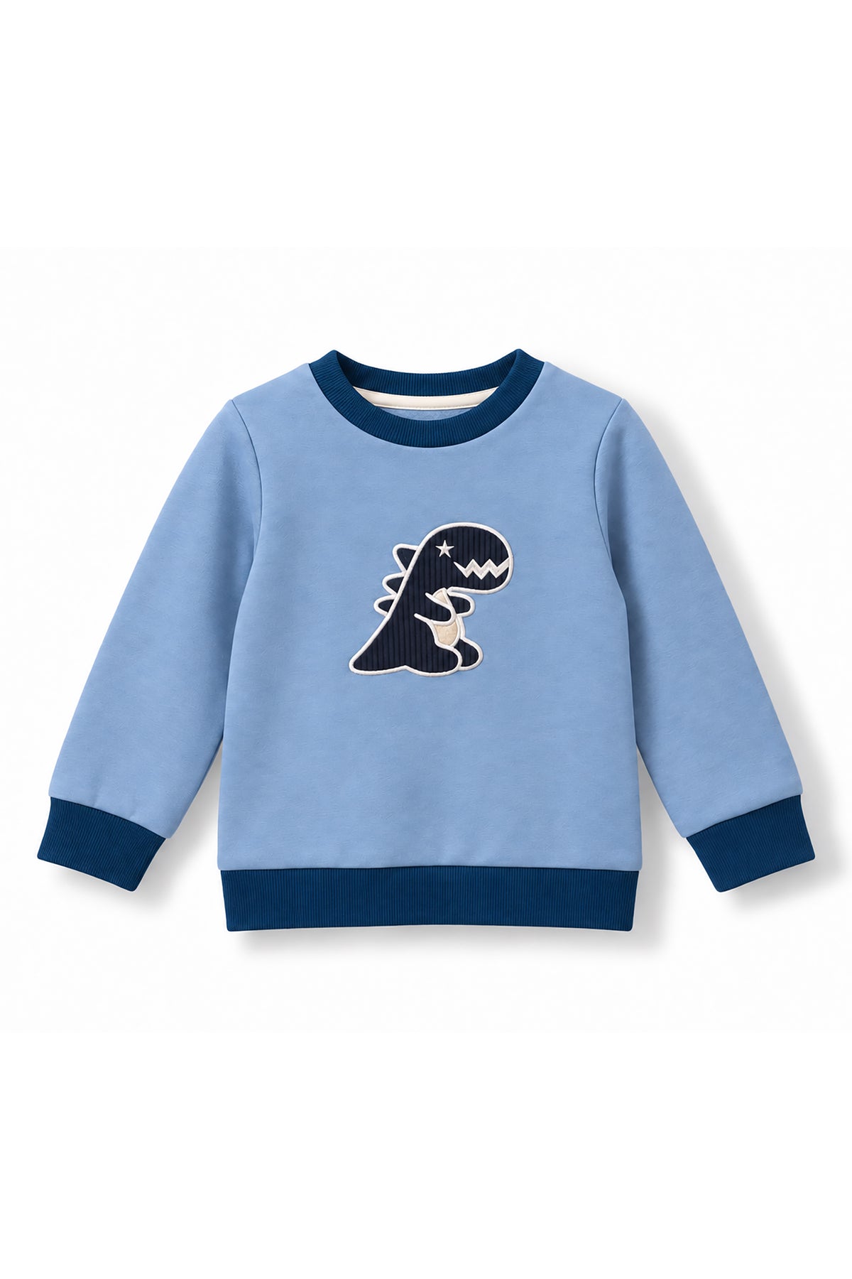 Boys Dino Towel Patch Crew Neck Sweatshirt