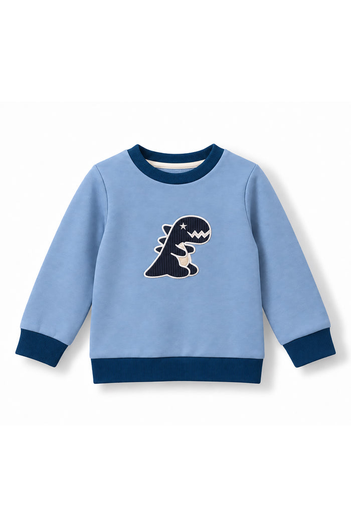 Boys Dino Towel Patch Crew Neck Sweatshirt