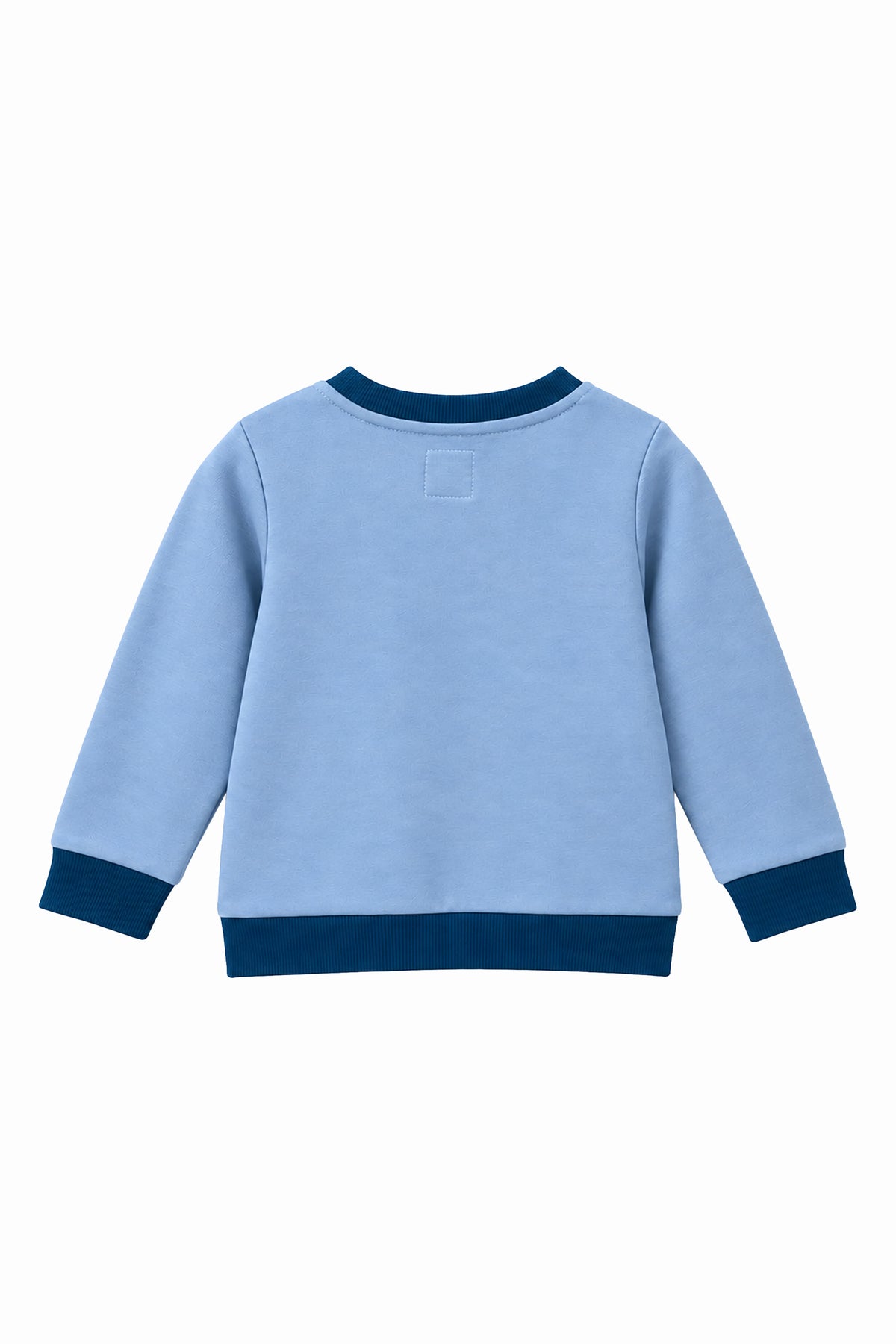 Boys Dino Towel Patch Crew Neck Sweatshirt