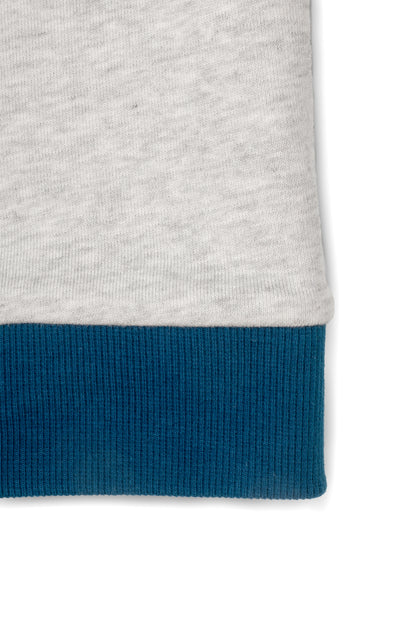 Boys Dino Towel Patch Crew Neck Sweatshirt