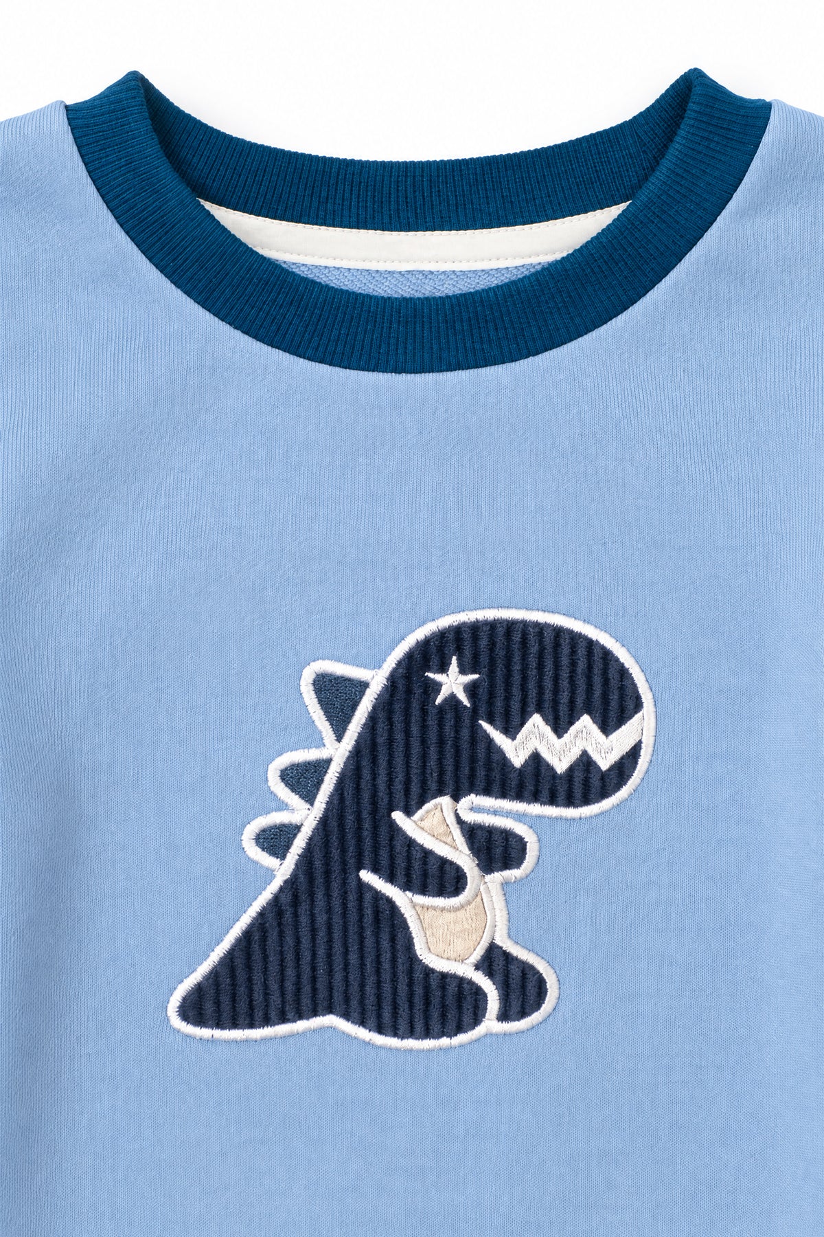 Boys Dino Towel Patch Crew Neck Sweatshirt