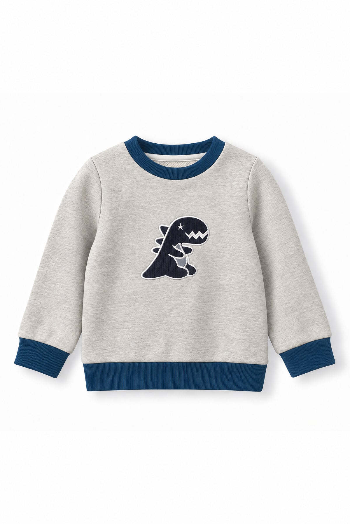 Boys Dino Towel Patch Crew Neck Sweatshirt
