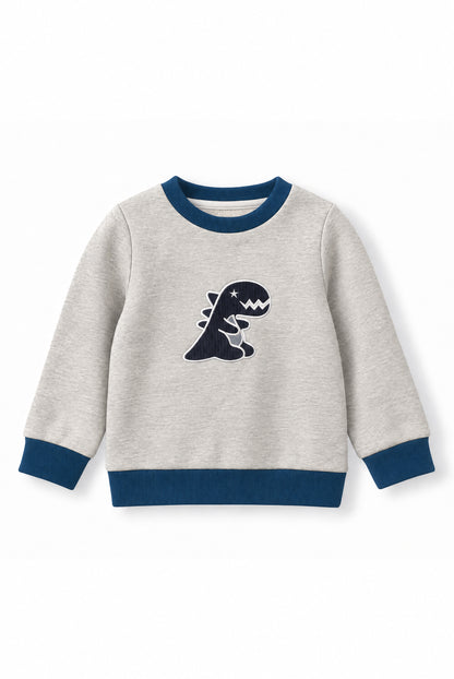 Boys Dino Towel Patch Crew Neck Sweatshirt