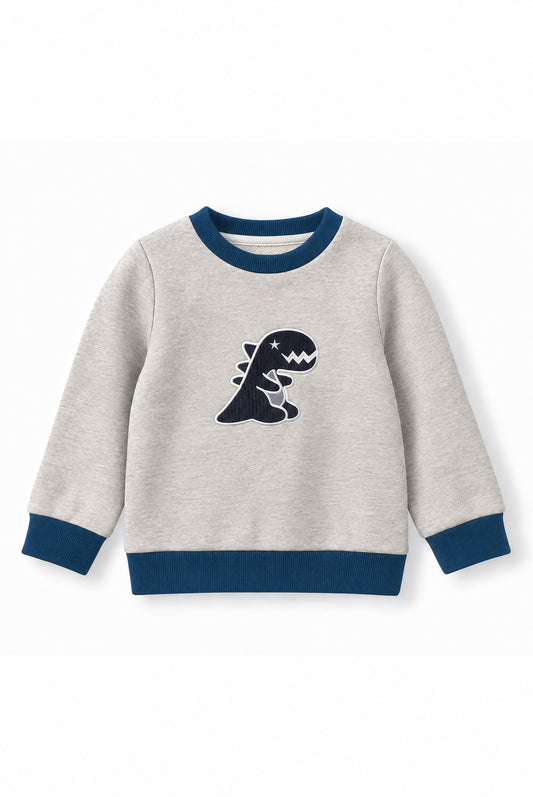 Boys Dino Towel Patch Crew Neck Sweatshirt