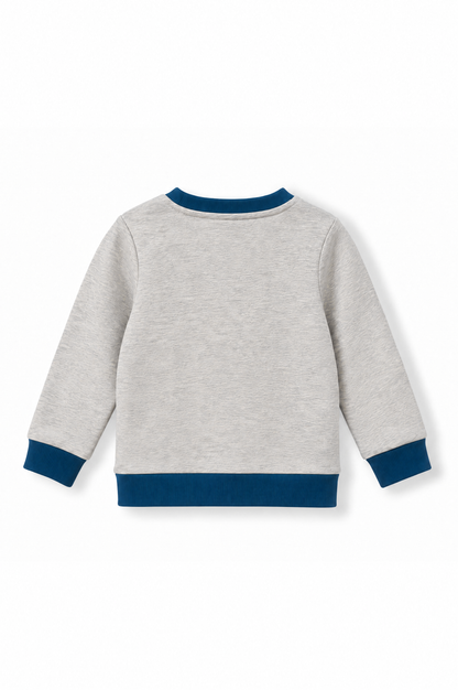 Boys Dino Towel Patch Crew Neck Sweatshirt