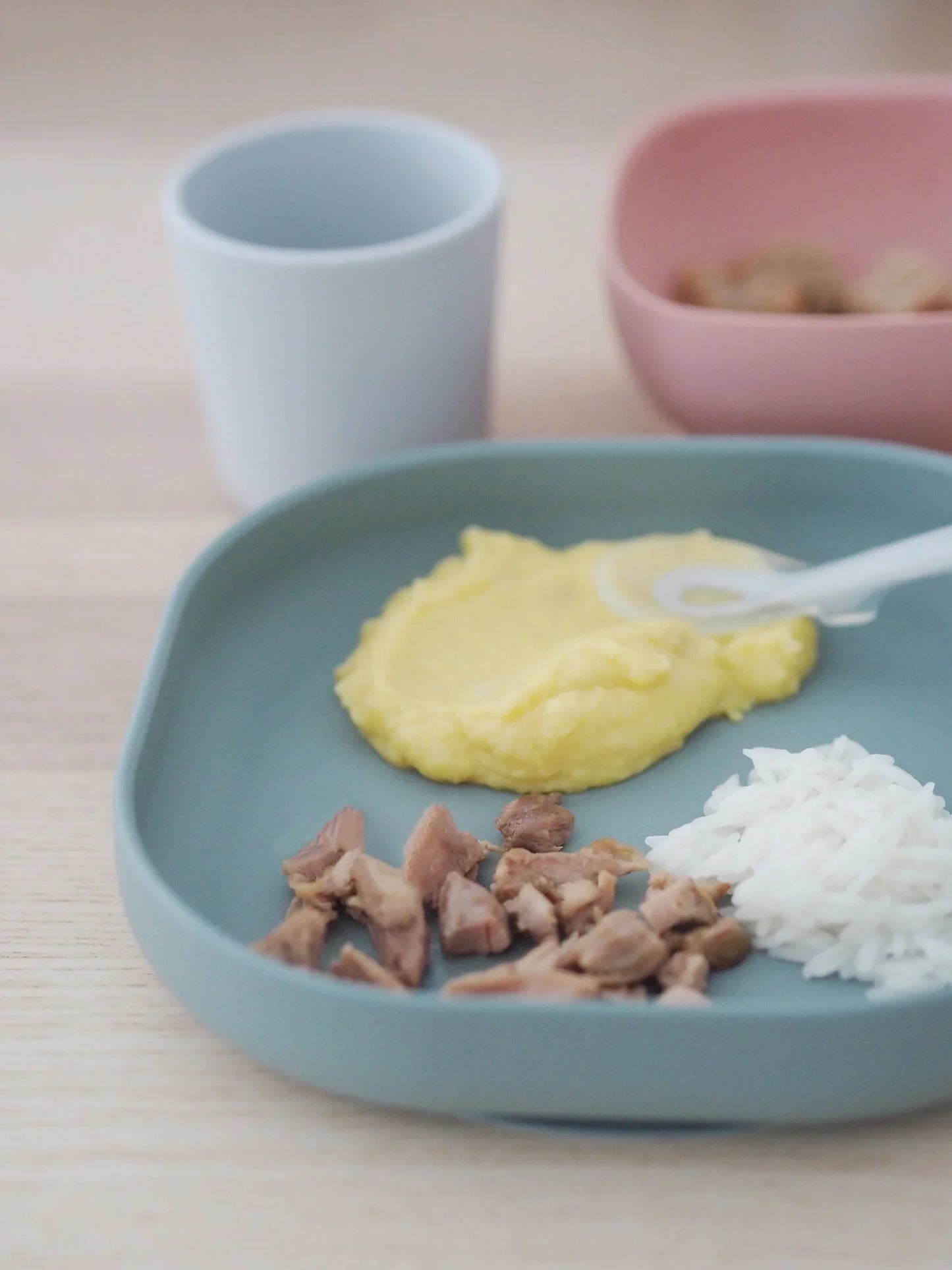Silicone Suction Meal Set