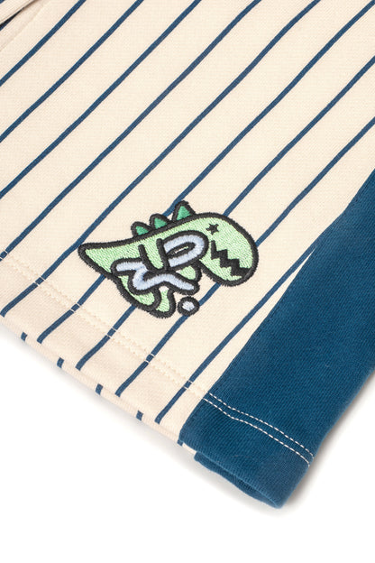 Girls Pinstripe Button-Front Dino Patch A-Line Skirt