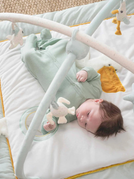 Playmat With Toys - Nova