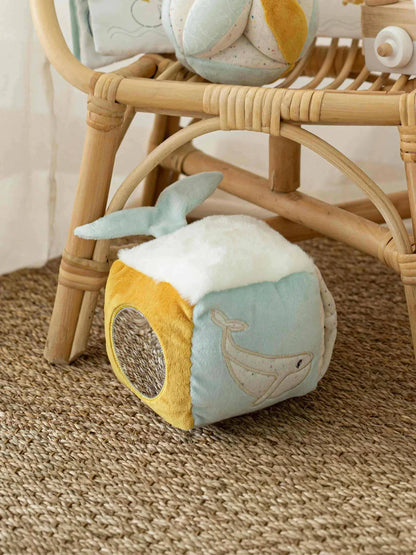 Activity Cube - Nova