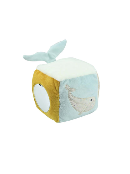 Activity Cube - Nova