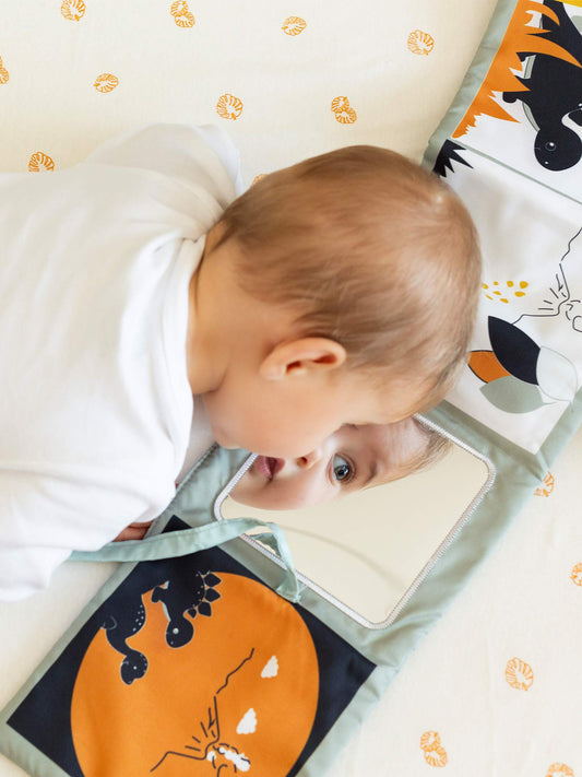 Learning Book - Diplododo