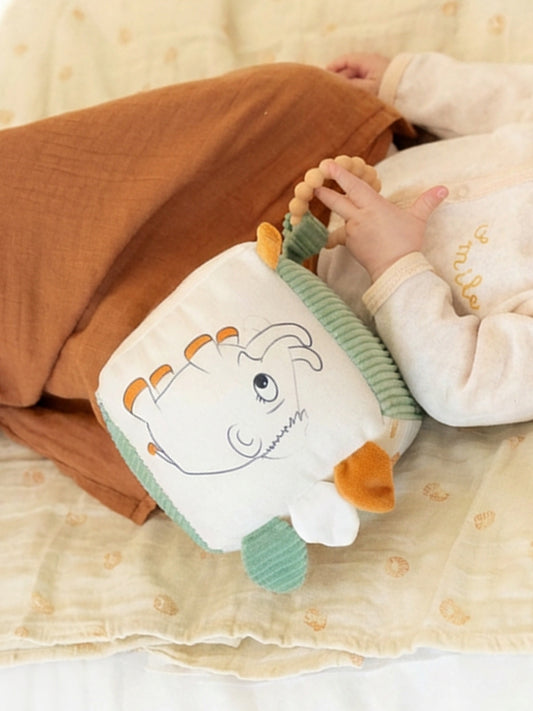 Activity Cube - Diplododo