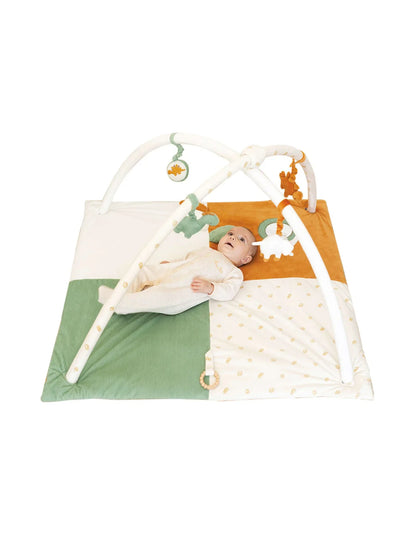 Playmat With Toys - Diplododo