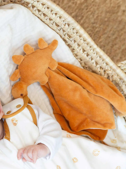 Baby Comforter  - Diplododo