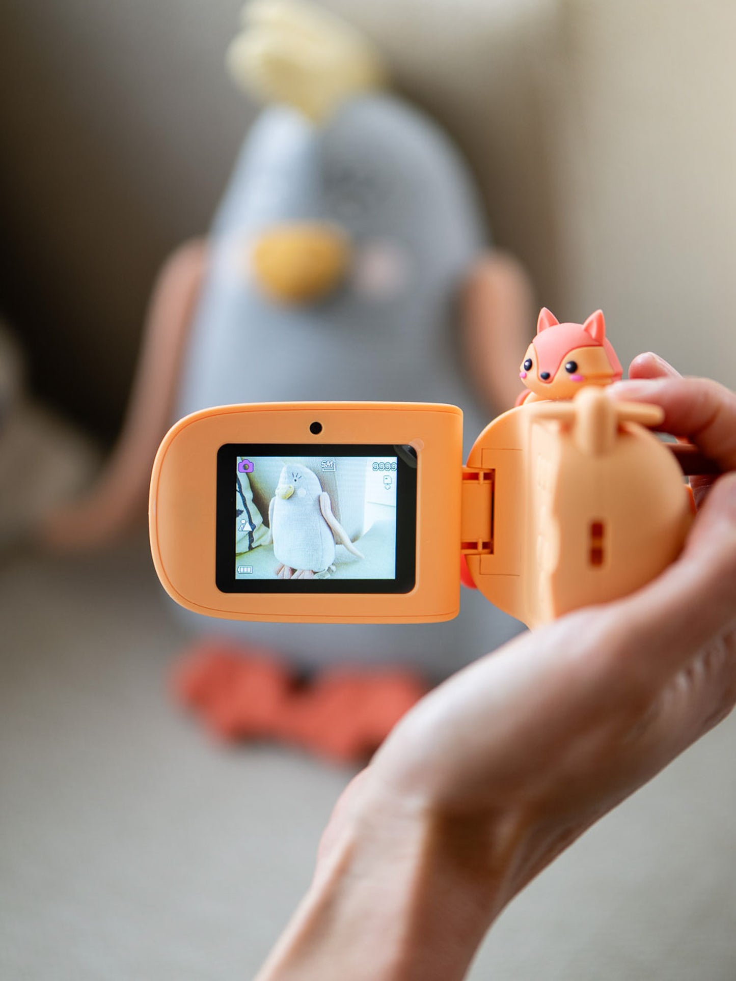 Zoo Video - Fox
