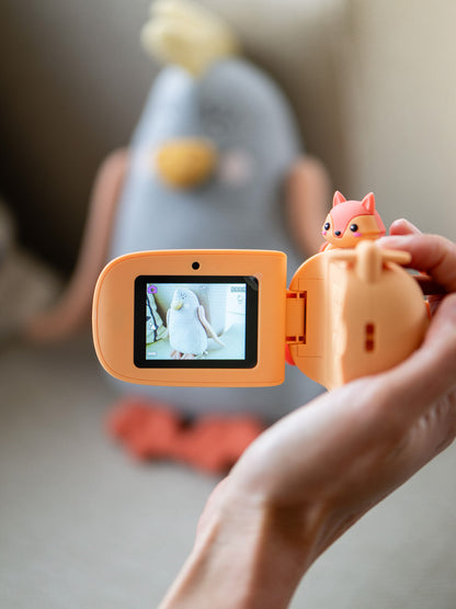 Zoo Video - Fox