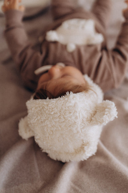 Plush Hat with Teddy Ears with Merino Wool Lining