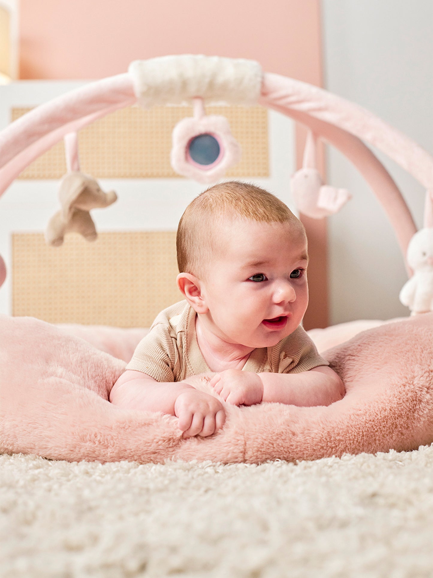 [FanFan] Baby Playmat with Arches