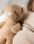 [Teddy] Cuddly Toy - Bear