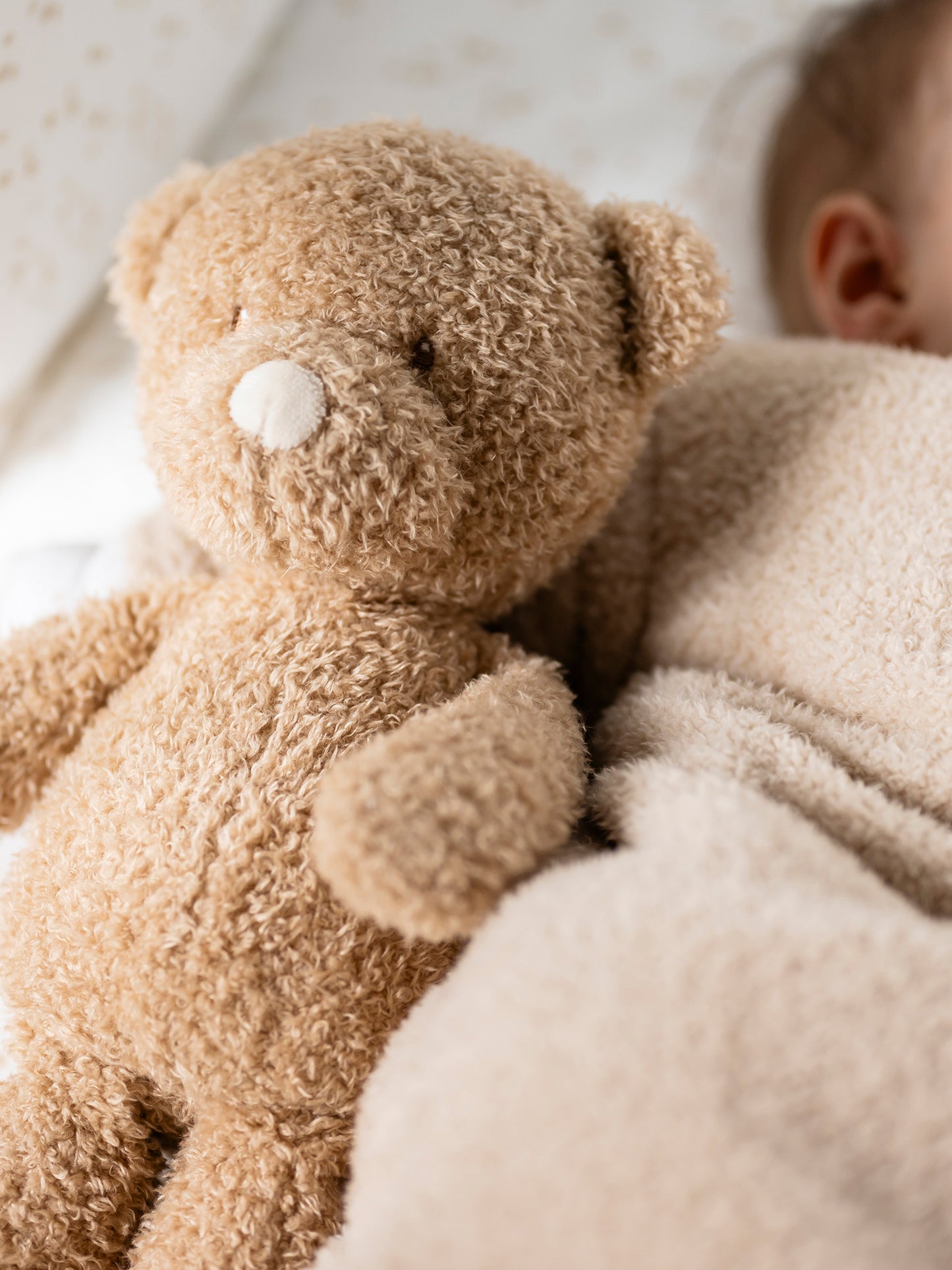 [Teddy] Cuddly Toy - Bear