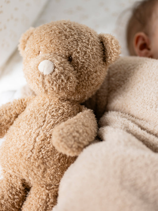 [Teddy] Cuddly Toy - Bear