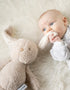 [Teddy] Cuddly Toy - Rabbit