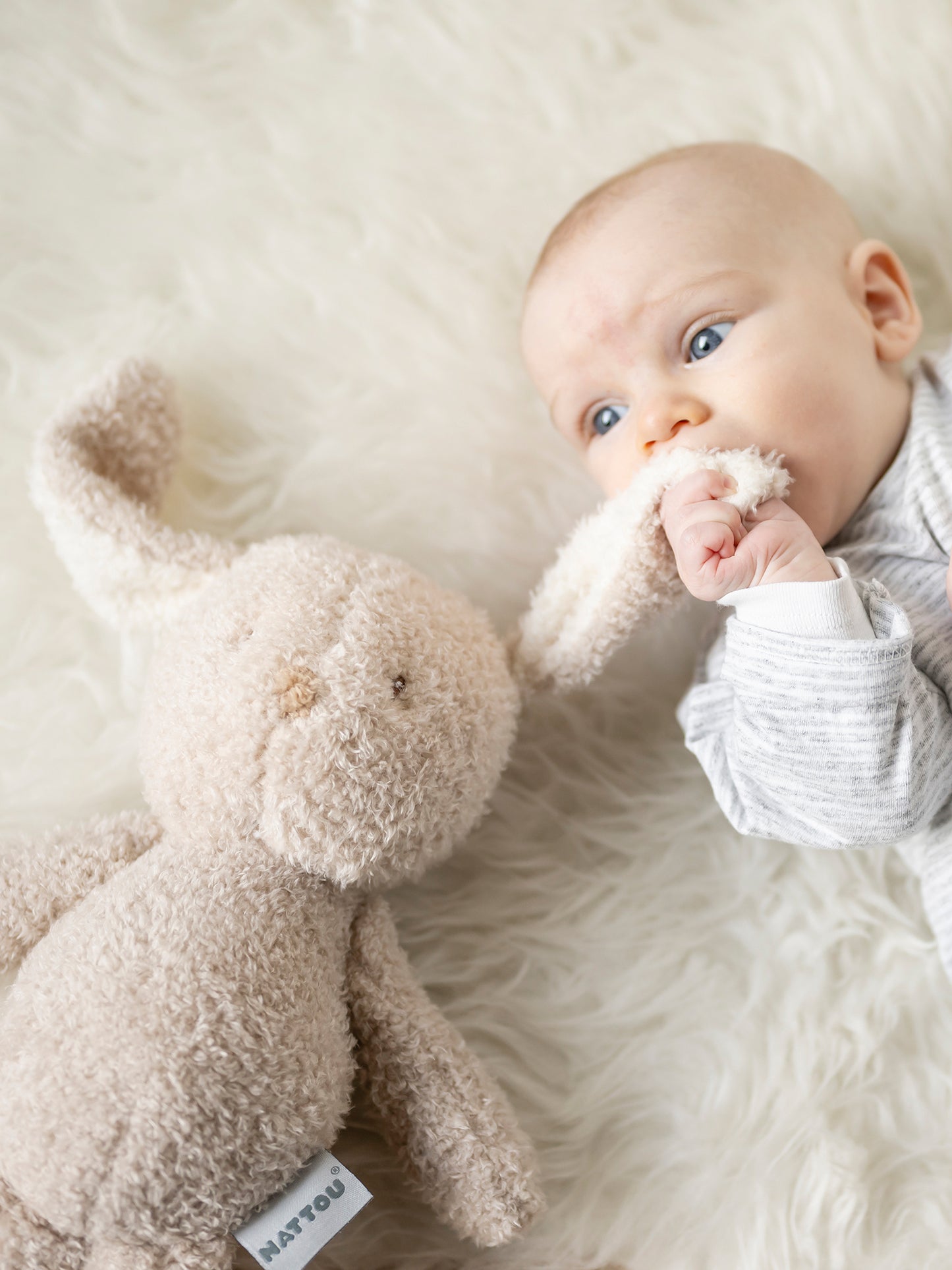 [Teddy] Cuddly Toy - Rabbit