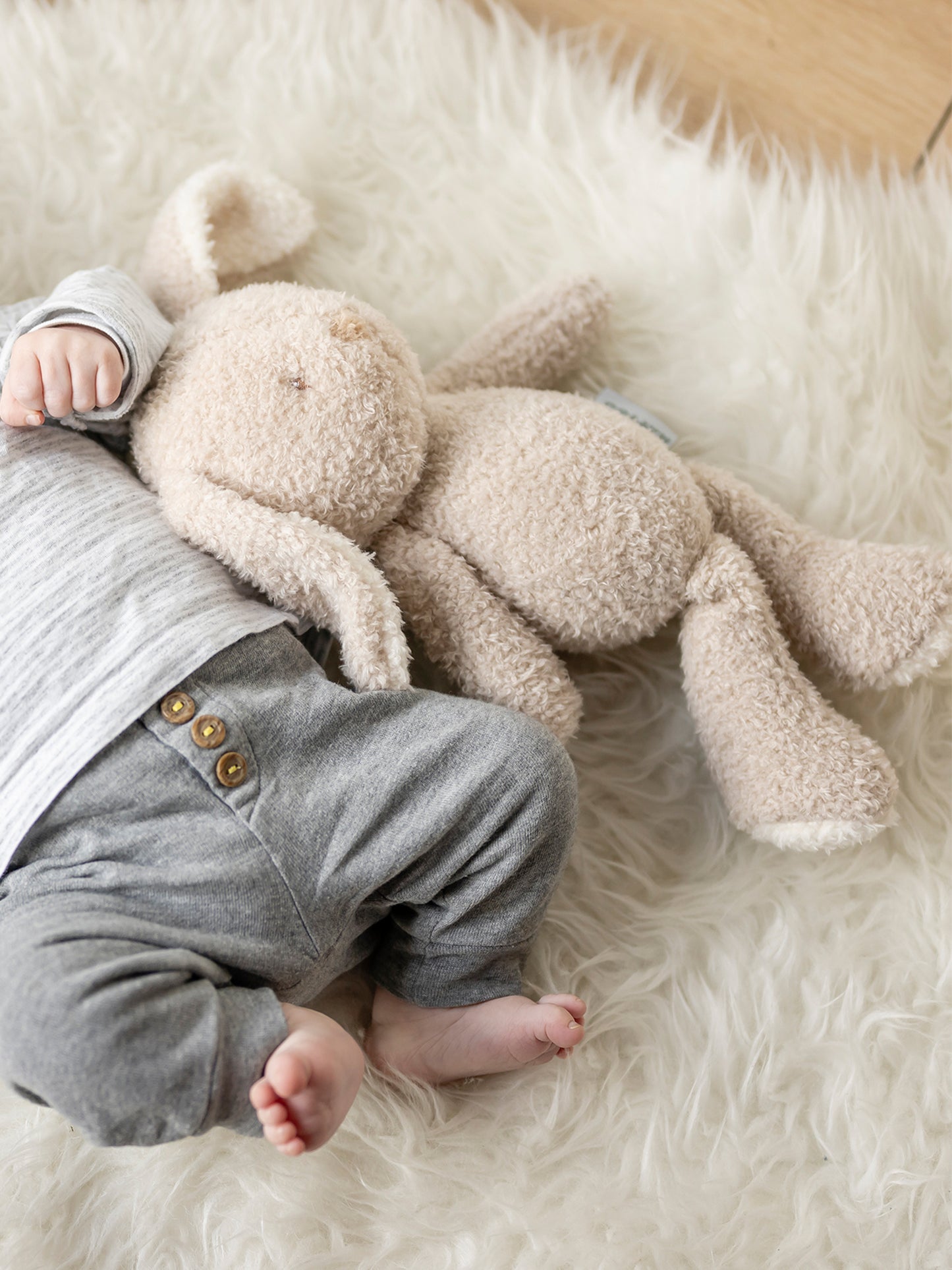 [Teddy] Cuddly Toy - Rabbit