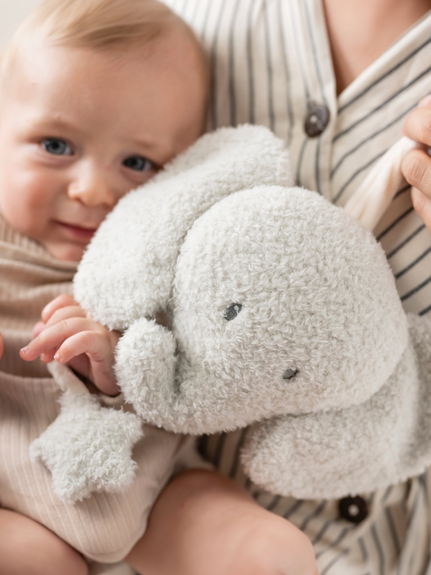 [Teddy] Music Cuddly Toy - Elephant