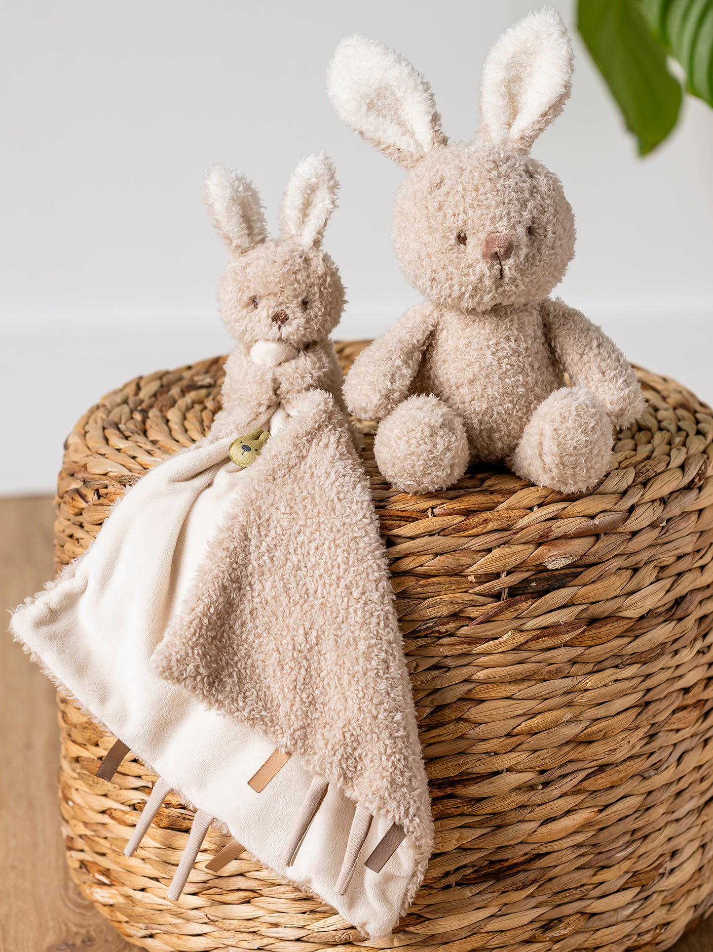 [Teddy] Baby Cuddle Toy - Bunny