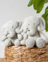 [Teddy] Baby Cuddle Toy - Elephant