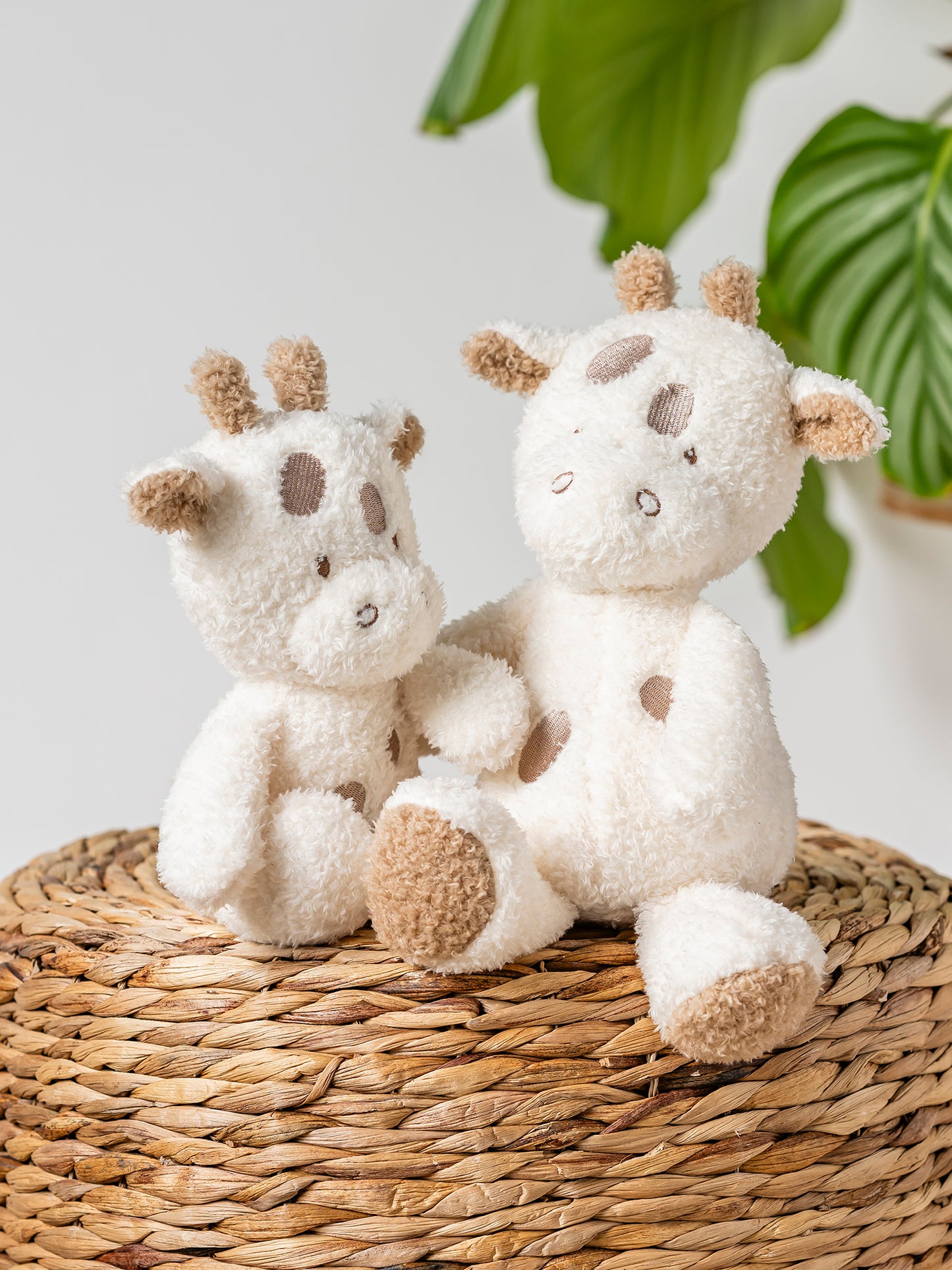 [Teddy] Baby Cuddle Toy - Giraffe