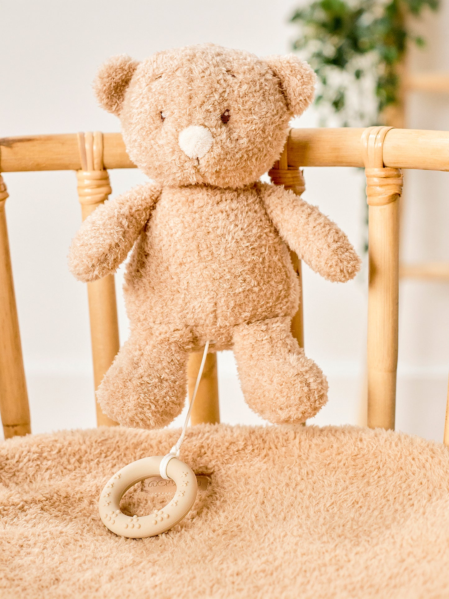 [Teddy] Music Plush Toy - Bear
