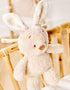[Teddy] Music Plush Toy - Bunny