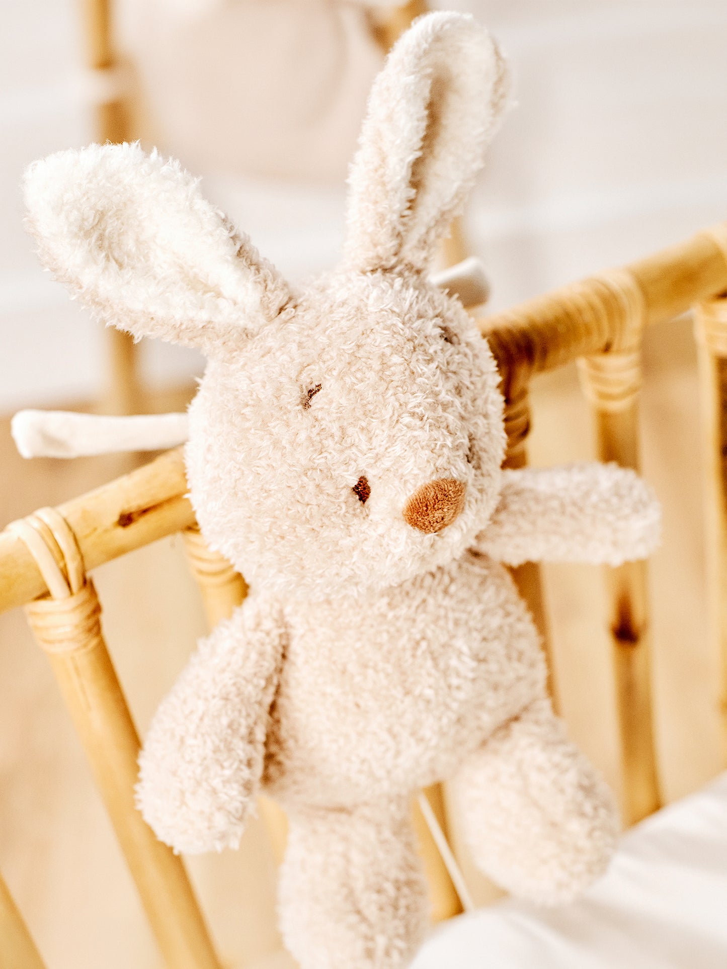 [Teddy] Music Plush Toy - Bunny