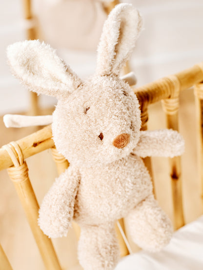[Teddy] Music Plush Toy - Bunny