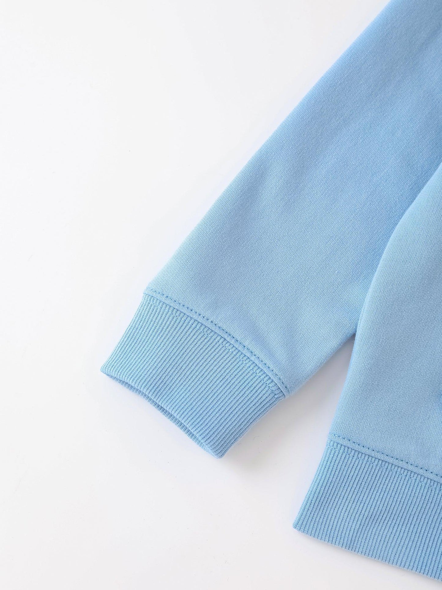 Boys Long Sleeve Embroidery Zipped Hoodie