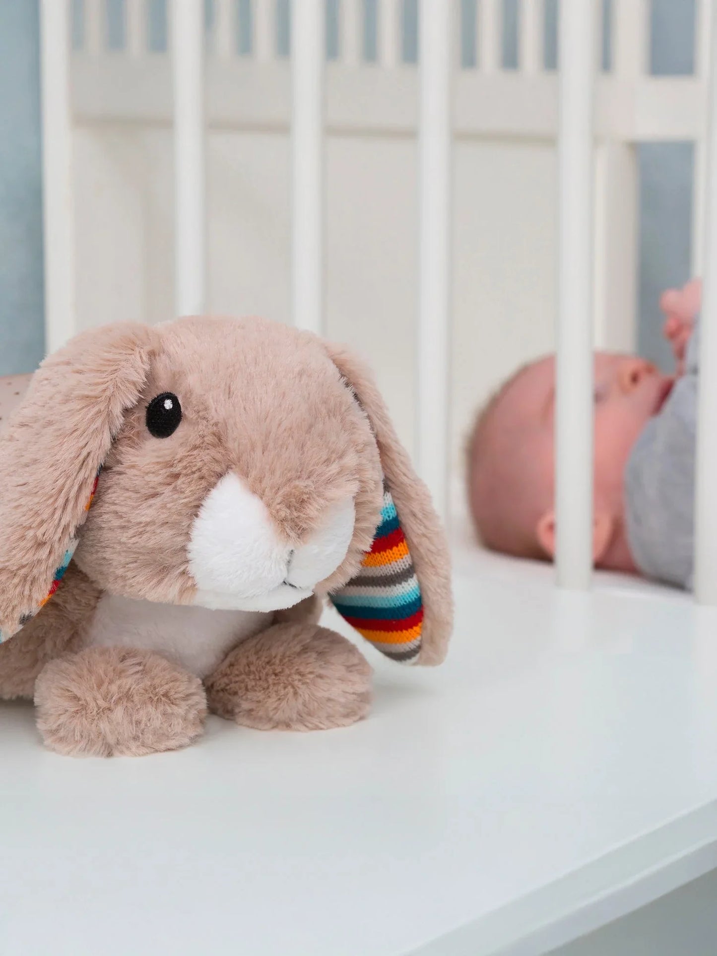 Ruby The Rabbit