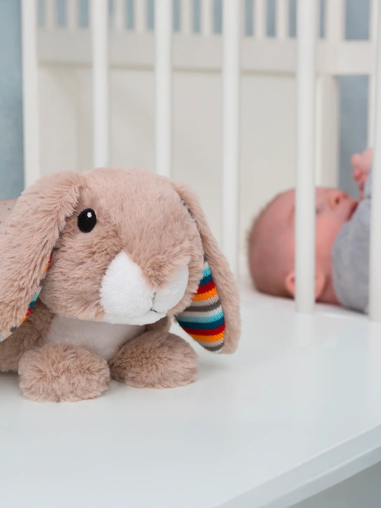 Ruby The Rabbit
