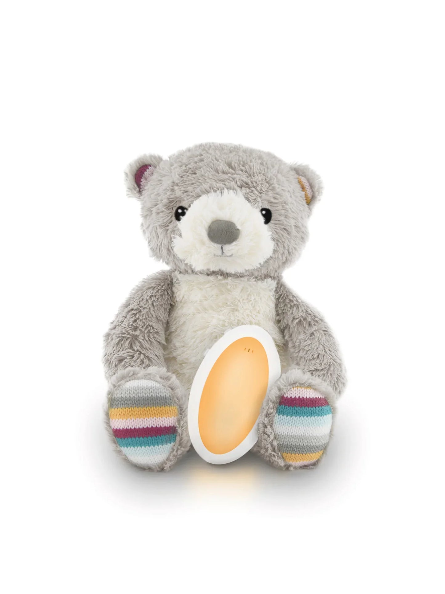 Bruno The Bear