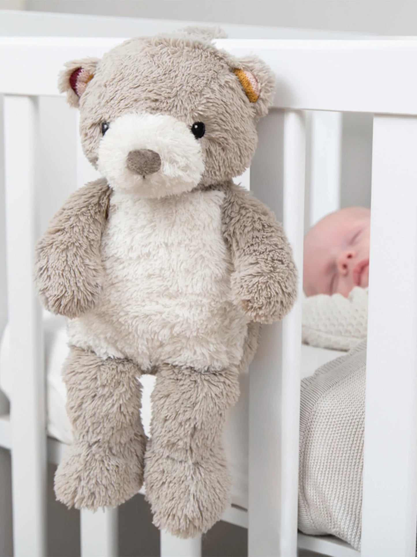 Bruno The Bear