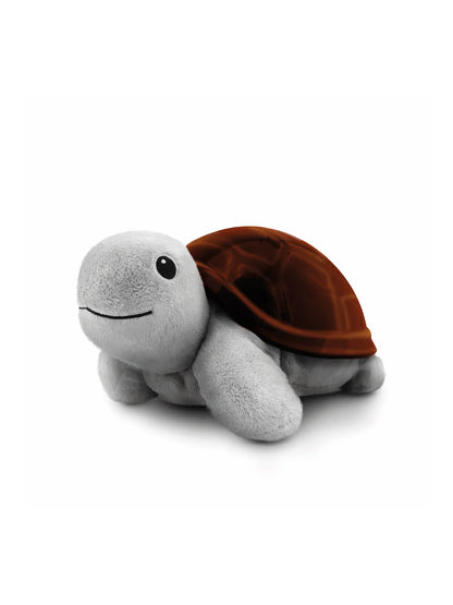 Tim The Turtle