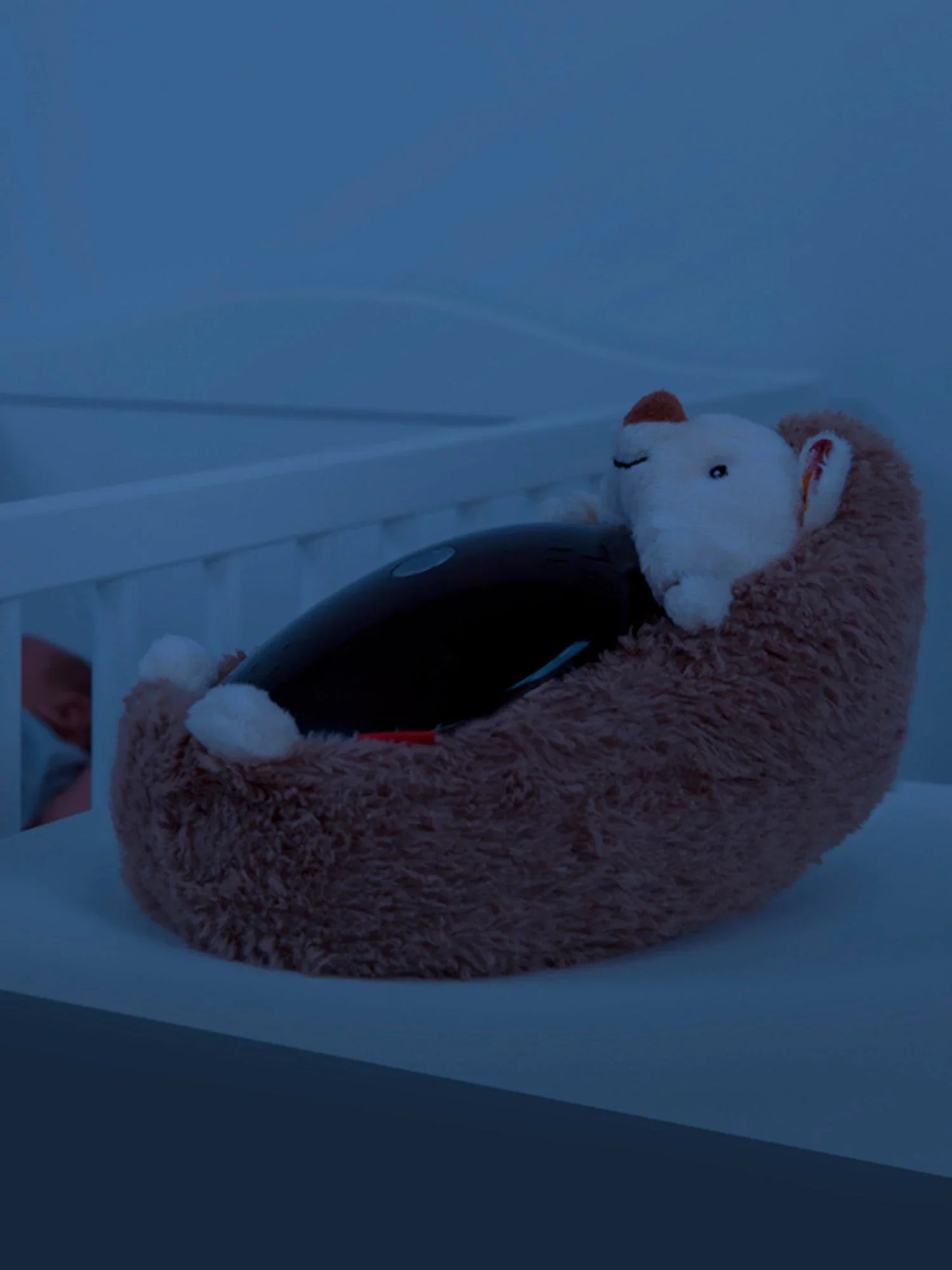 Henry The Hedgehog