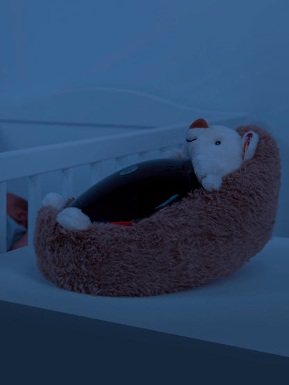 Henry The Hedgehog