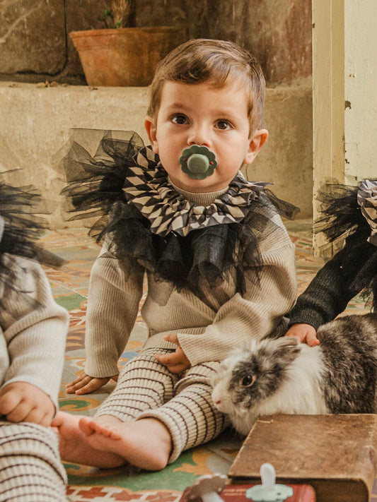 Soother with SX Pro physiological silicone Teat 6-18M - Wonder Hedge Green