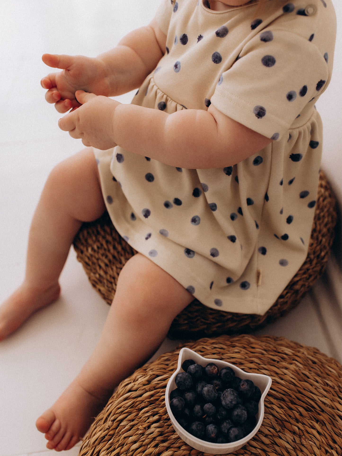 Shortsleeve Baby Dress (GOTS)