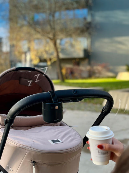 Roxy The Baby Rocker