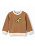 Boys Contrast Trim Running Dino Applique Sweatshirt