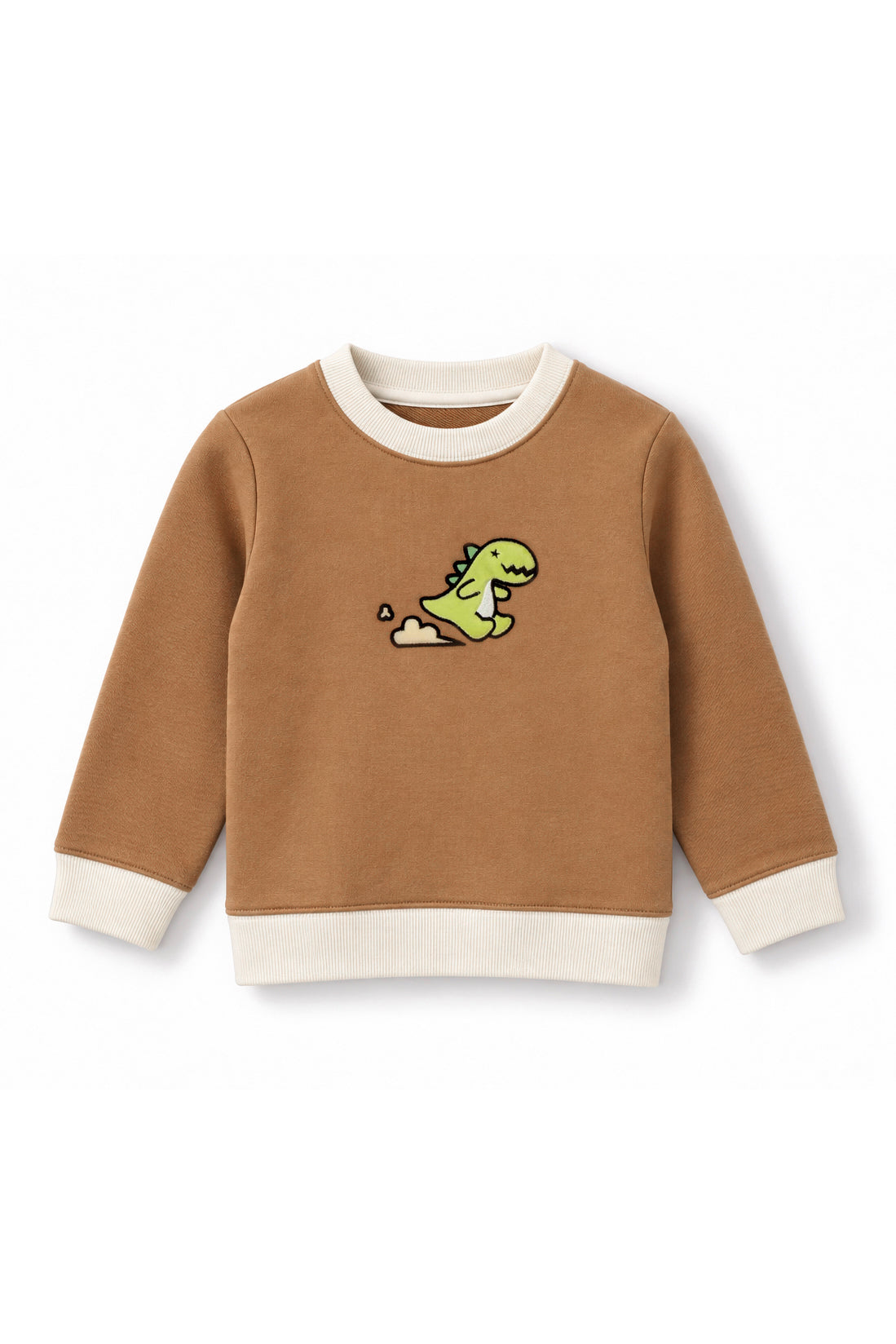 Boys Contrast Trim Running Dino Applique Sweatshirt
