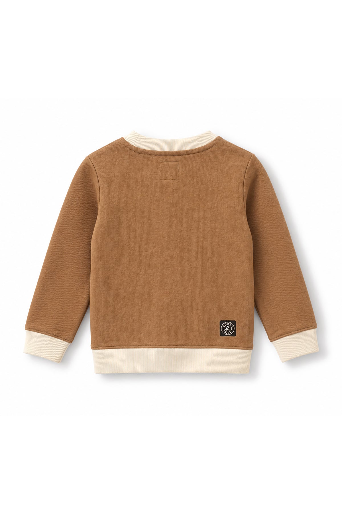 Boys Contrast Trim Running Dino Applique Sweatshirt